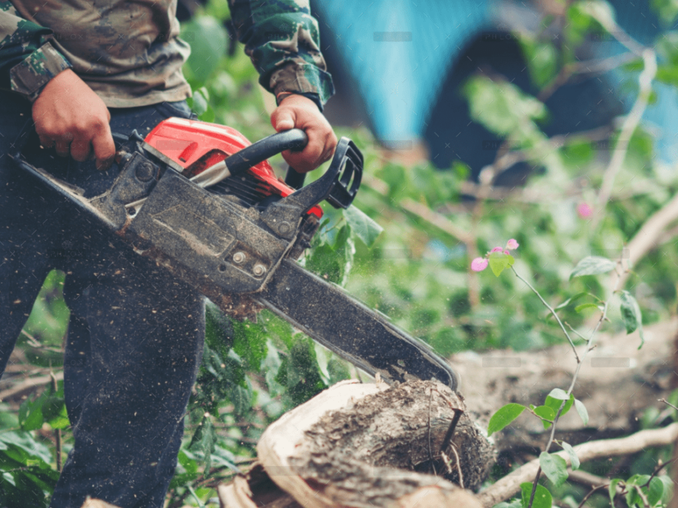 demo-attachment-1106-asian-man-cutting-trees-using-electrical-chainsaw